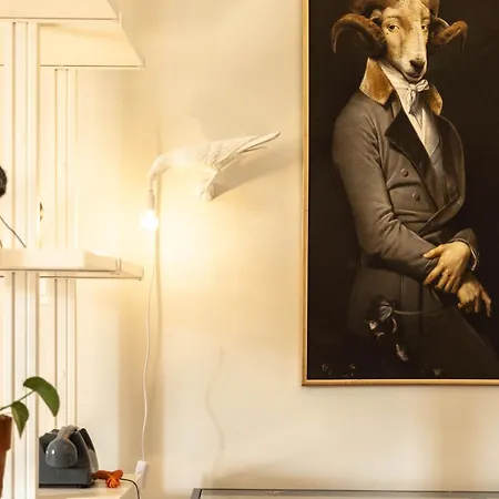 Nook O15 スプリト